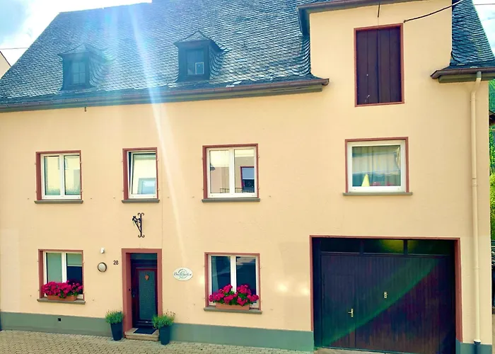 아파트 Burggarten Wine Residences - Wein Direkt Vom Winzer, Ebike & Eauto Aufladen Und Parken Burg (Bernkastel-Wittlich)